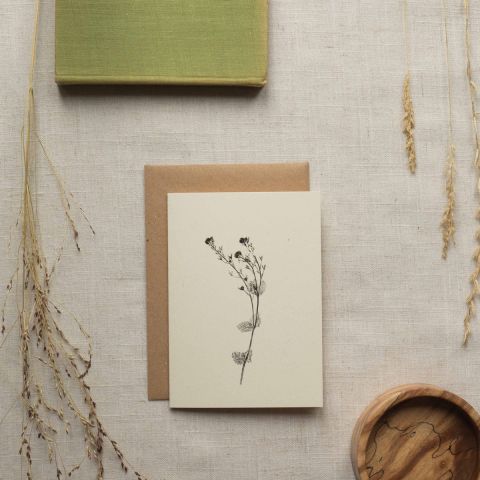 Botanical Card - Speedwell