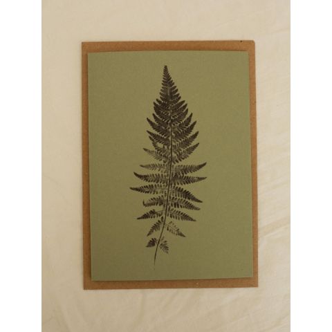 Green Botanical Card - Woodfern