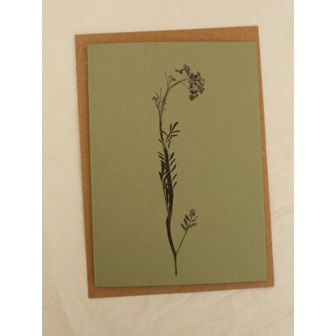 Green Botanical Card - Lady's Smock