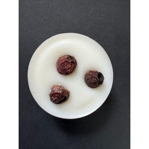 Rhubarb + Blackberry Luxury Wax Melt