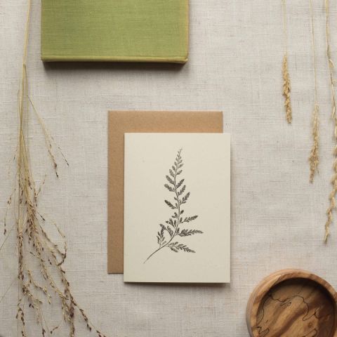 Botanical Card - Black Spleenwort Fern