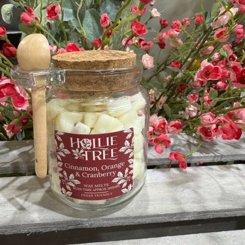 Cinnamon, Orange + Cranberry Melting Pot Wax Melts