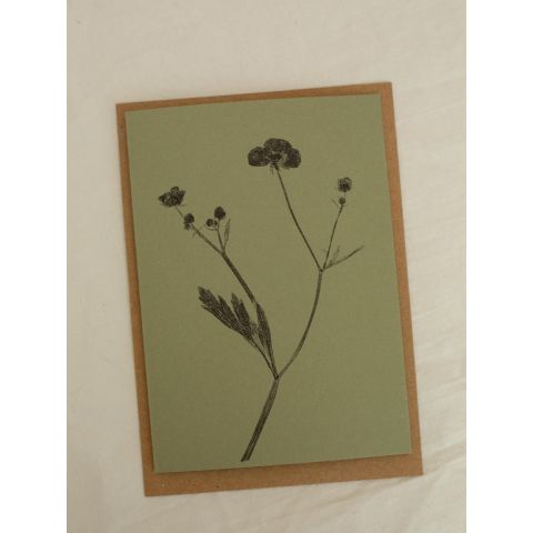 Green Botanical Card - Meadow Buttercup