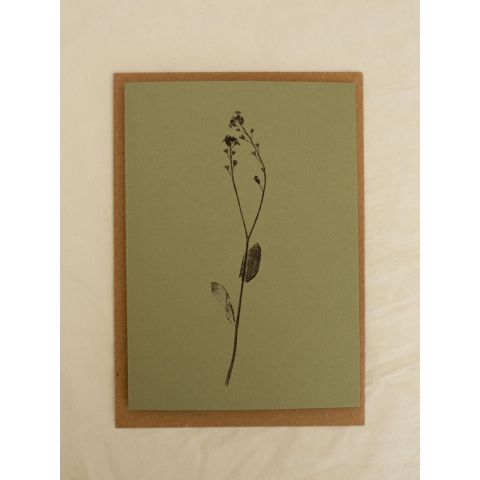 Green Botanical Card - Forget-Me-Not