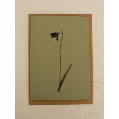 Green Botanical Card - Snowdrop