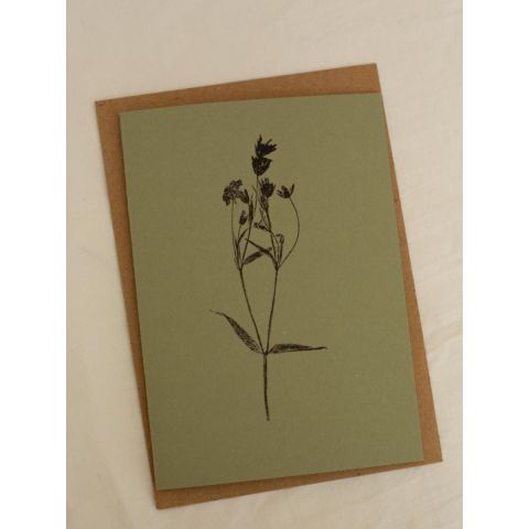 Green Botanical Card - Greater Stitchwort