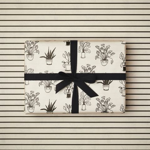 Ivory Stripe and Plants Wrapping Paper