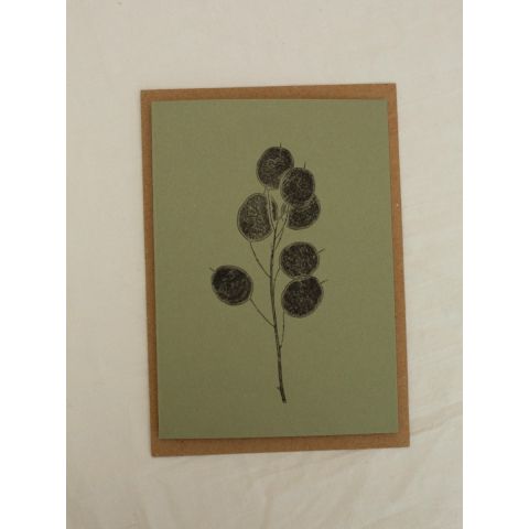 Green Botanical Card - Honesty Pods