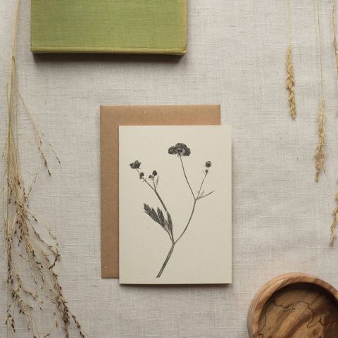 Botanical Card - Meadow Buttercup