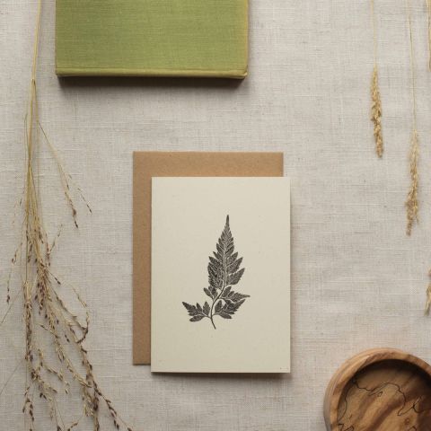 Botanical Card - Black Spleenwort Fern 2
