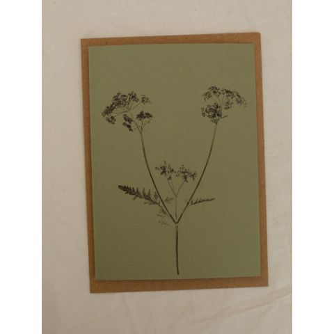 Green Botanical Card - Cow Parsley