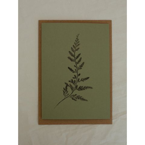 Green Botanical Card - Black Spleenwort Fern