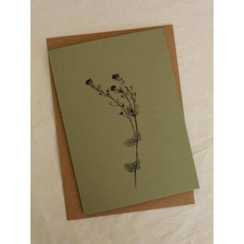 Green Botanical Card - Speedwell