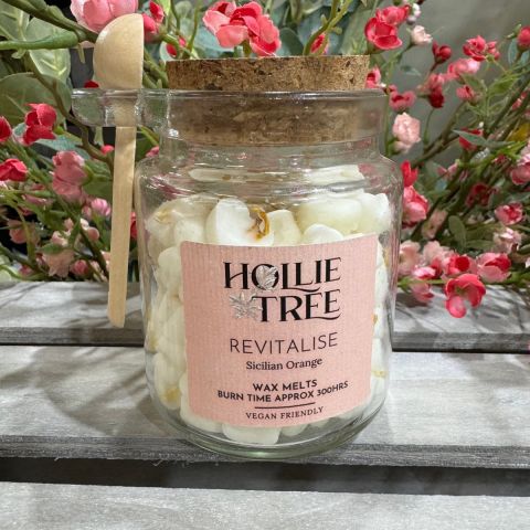 Revitalise - Sicilian Orange Melting Pot Wax Melts