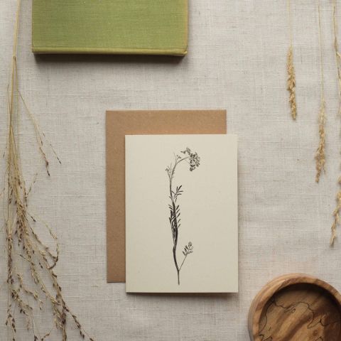 Botanical Card - Lady's Smock