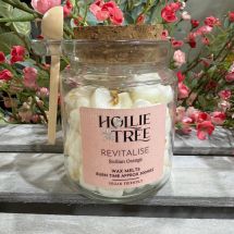 Revitalise - Sicilian Orange Melting Pot Wax Melts