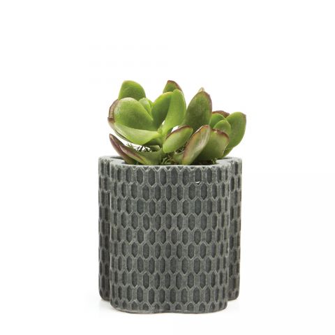 Stagma Small Plant Pot - Charcoal Waves