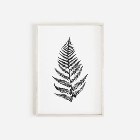 Fern Leaf Monochrome Print | Botanical Wall Art A4