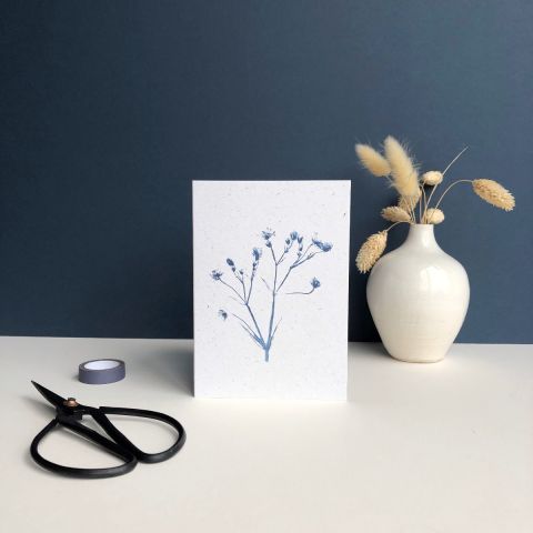 Wildflower Print Card - White Campion