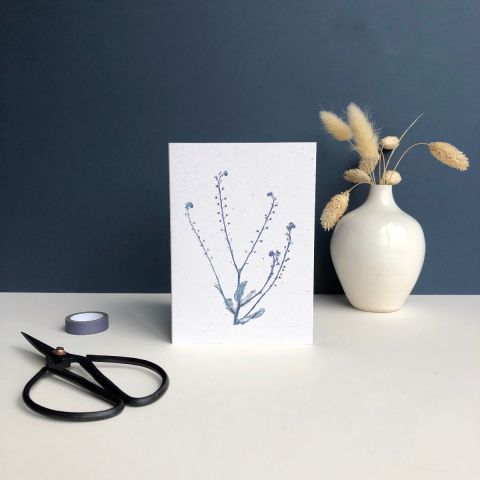 Wildflower Print Card - Forget Me Not