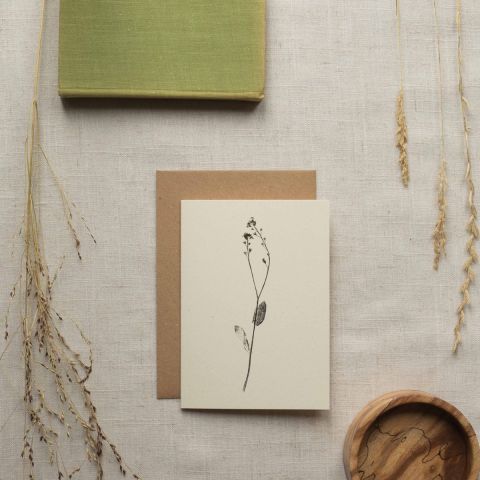 Botanical Card - Forget-Me-Not